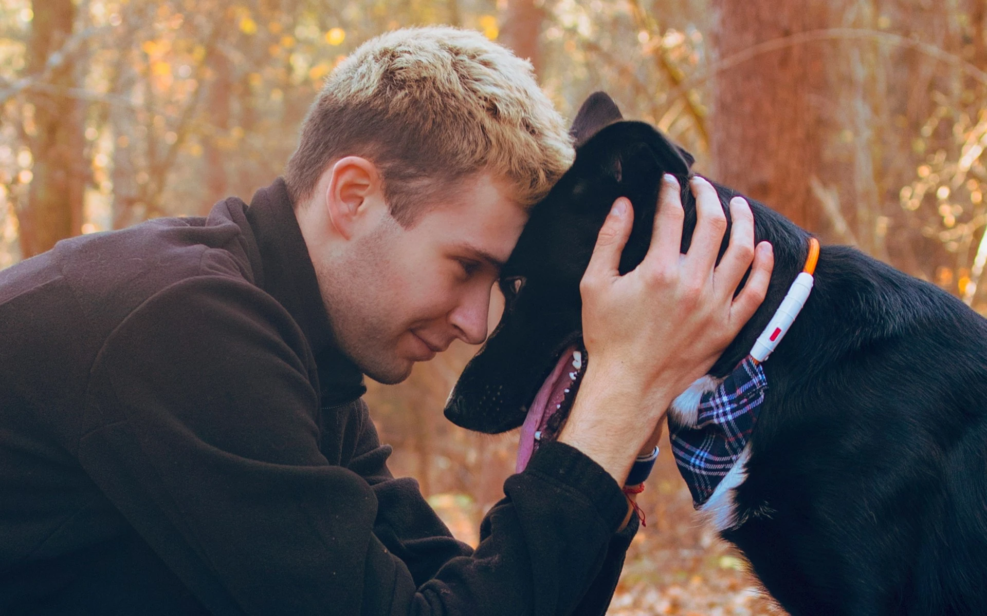 A man pressing his forehead against a black dog's head in a woods setting.
