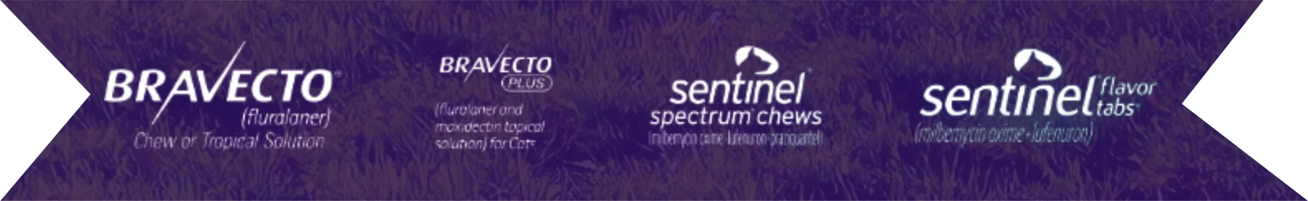 Bravecto and Sentinel